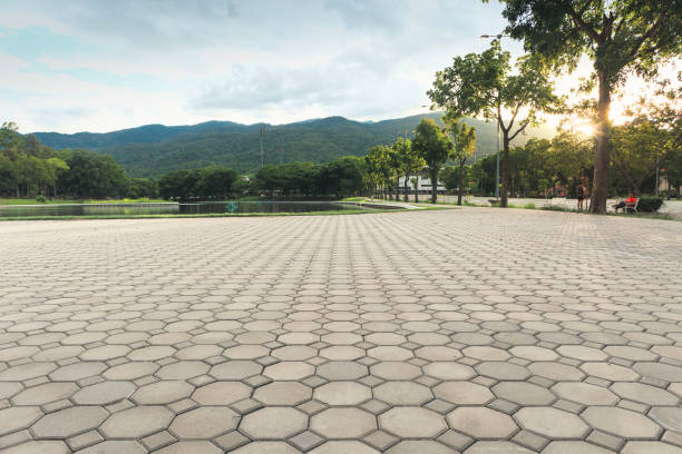 Best Concrete Paver Driveway  in Harriman, TN