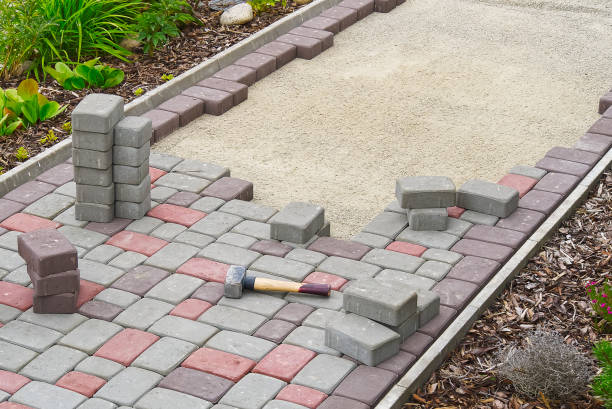 Best Driveway Paving Near Me  in Harriman, TN